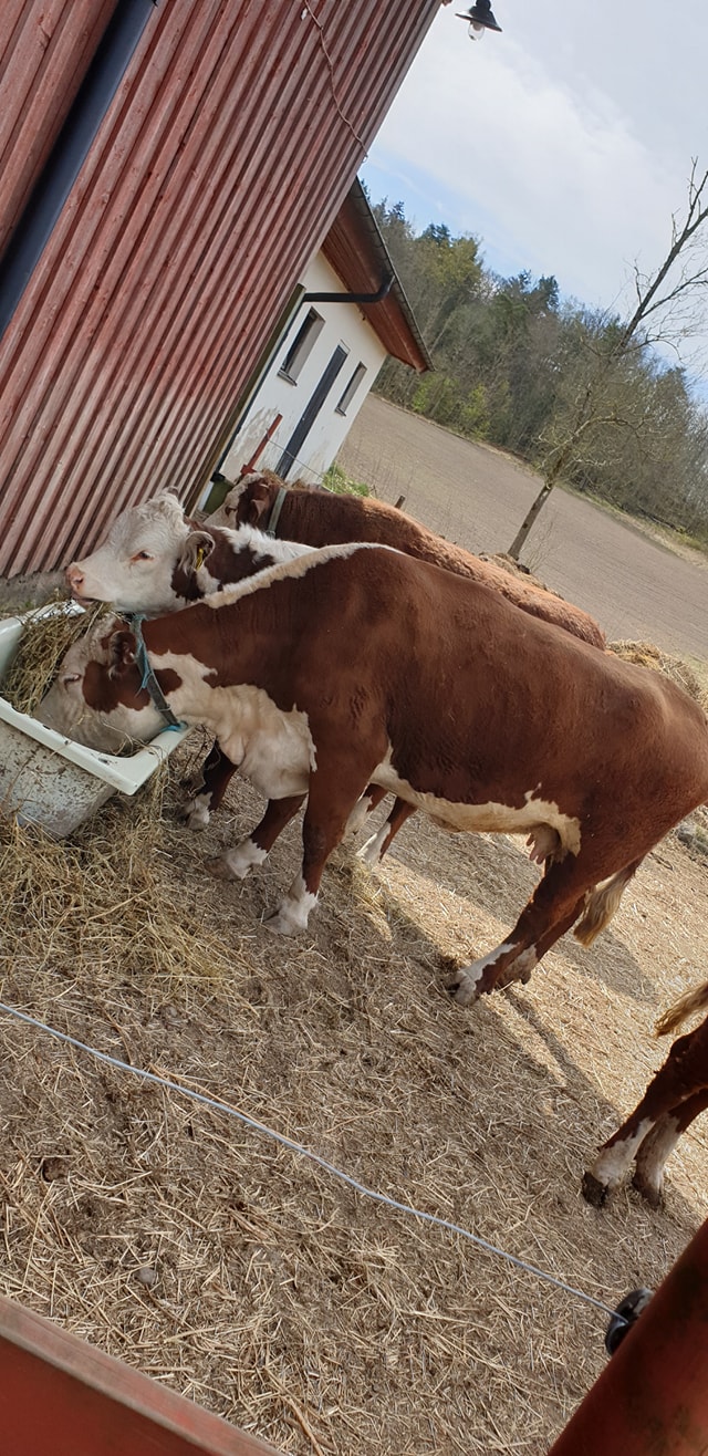 Bergums fritidslantgård